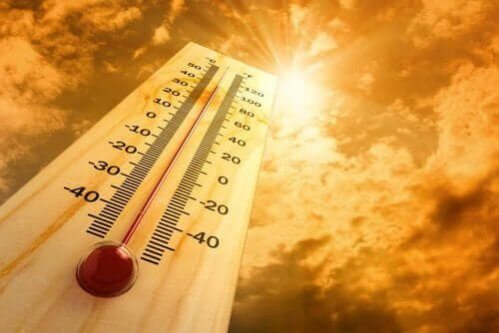 6 efeitos do calor no organismo